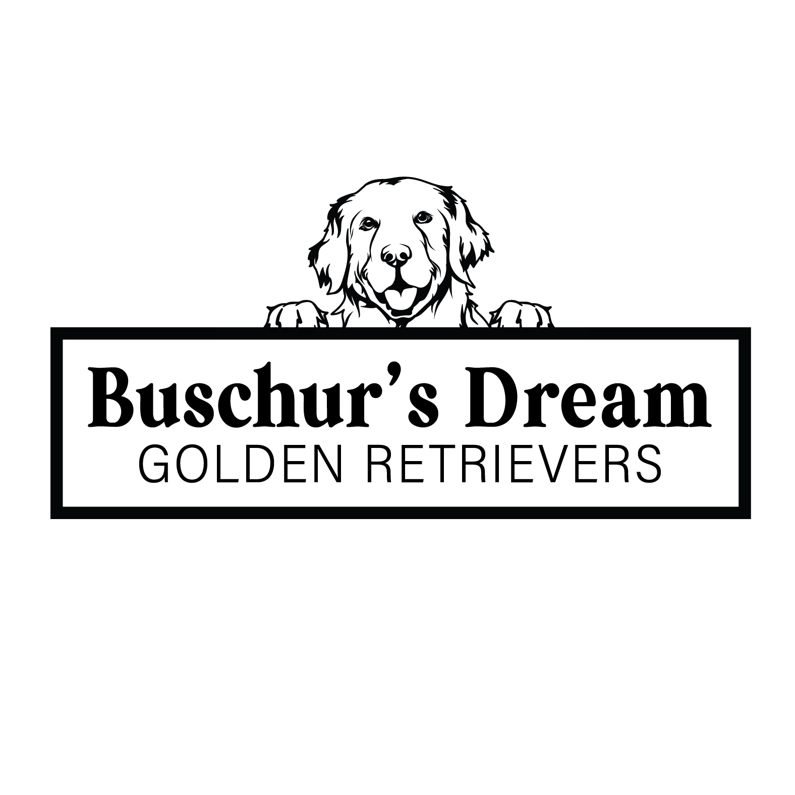 BUSCHUR'S DREAM GOLDEN RETRIEVERS